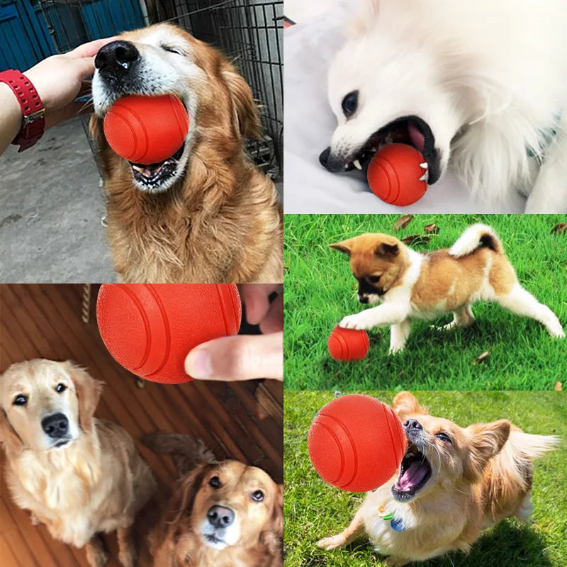 Dog Rubber Bite-resistant Ball