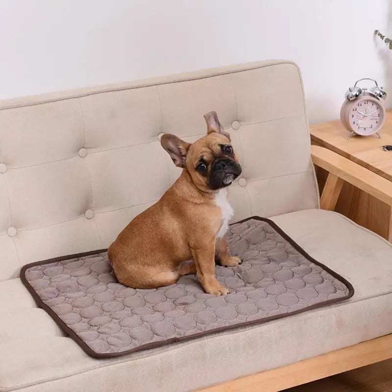 Pets Cooling Summer Mat