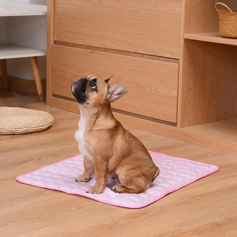 Pets Cooling Summer Mat
