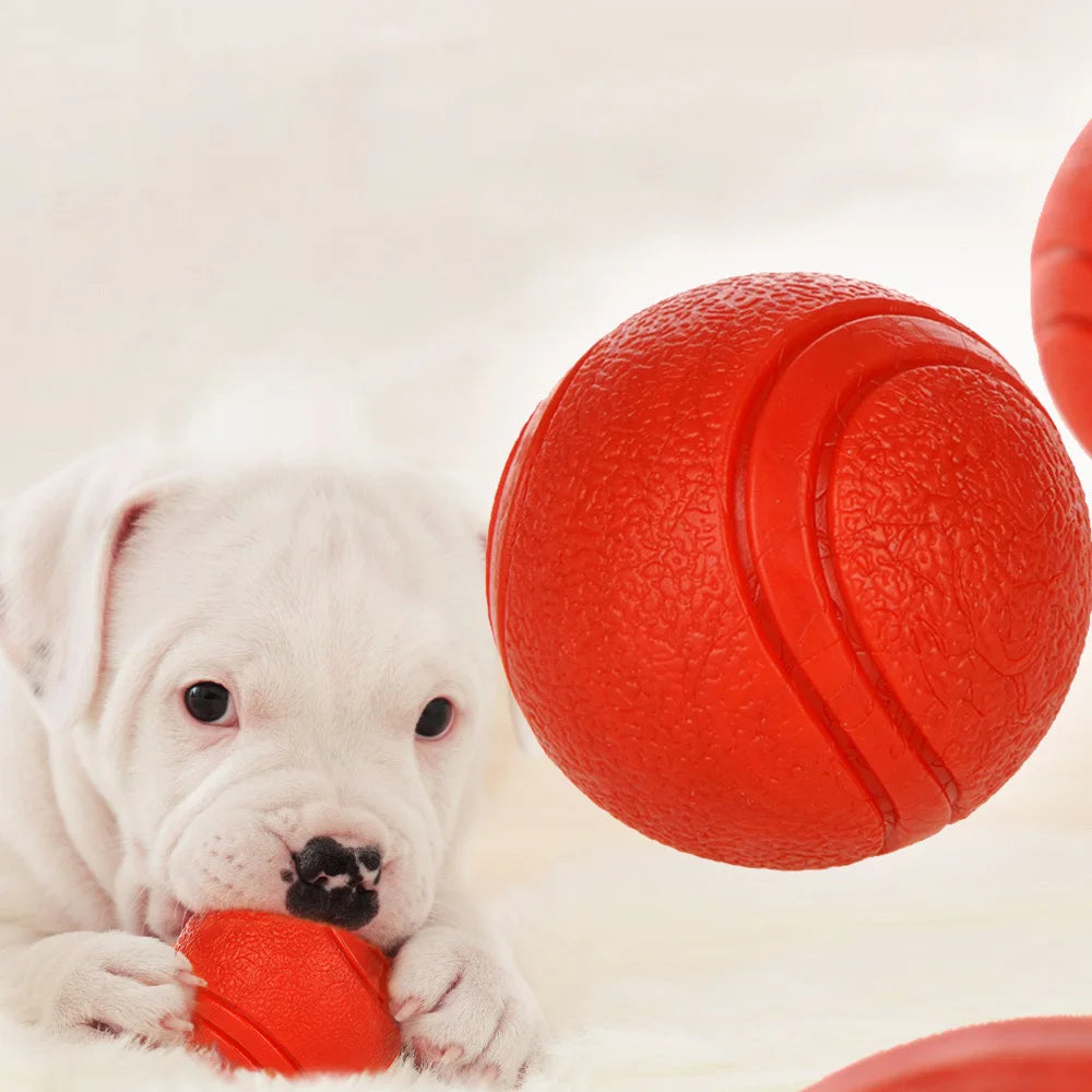 Dog Rubber Bite-resistant Ball