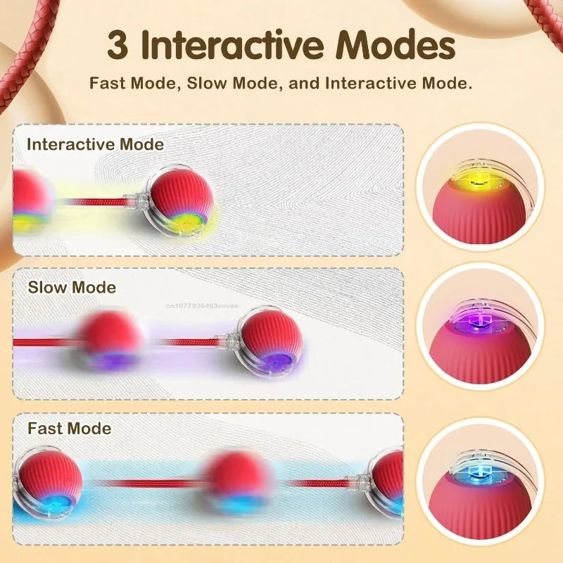 Cat Interactive Electric Ball