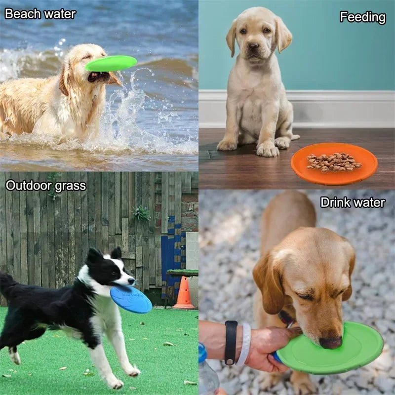 Dog Frisbees - Interactive Flying Disc