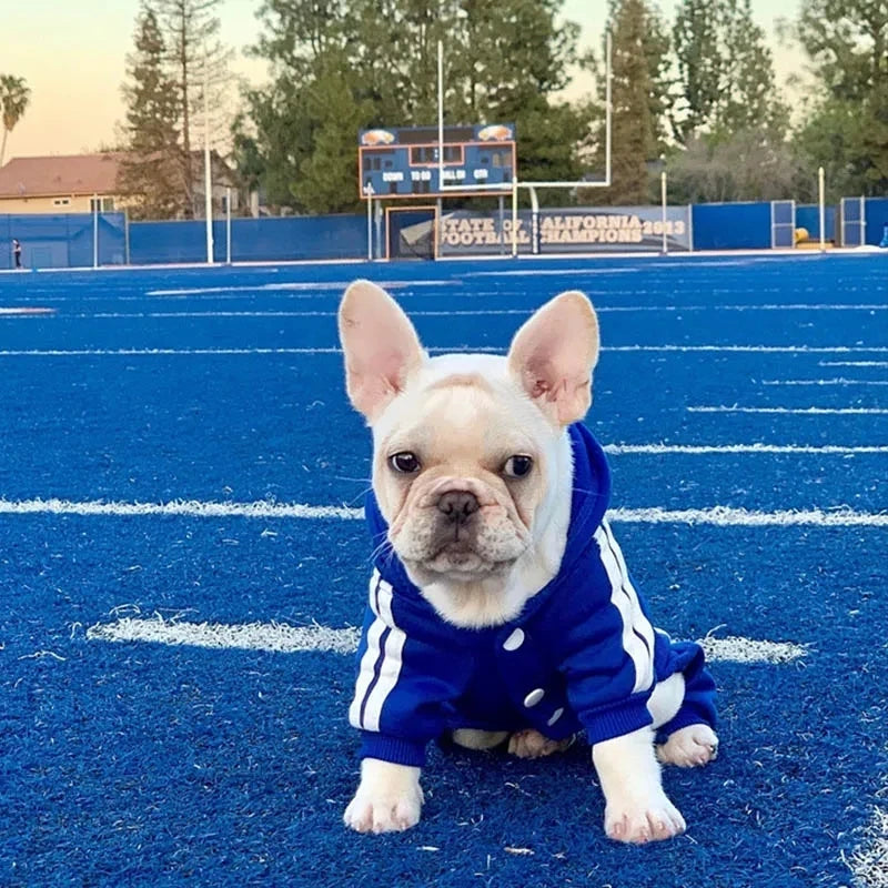 Pet Clothes With Hood