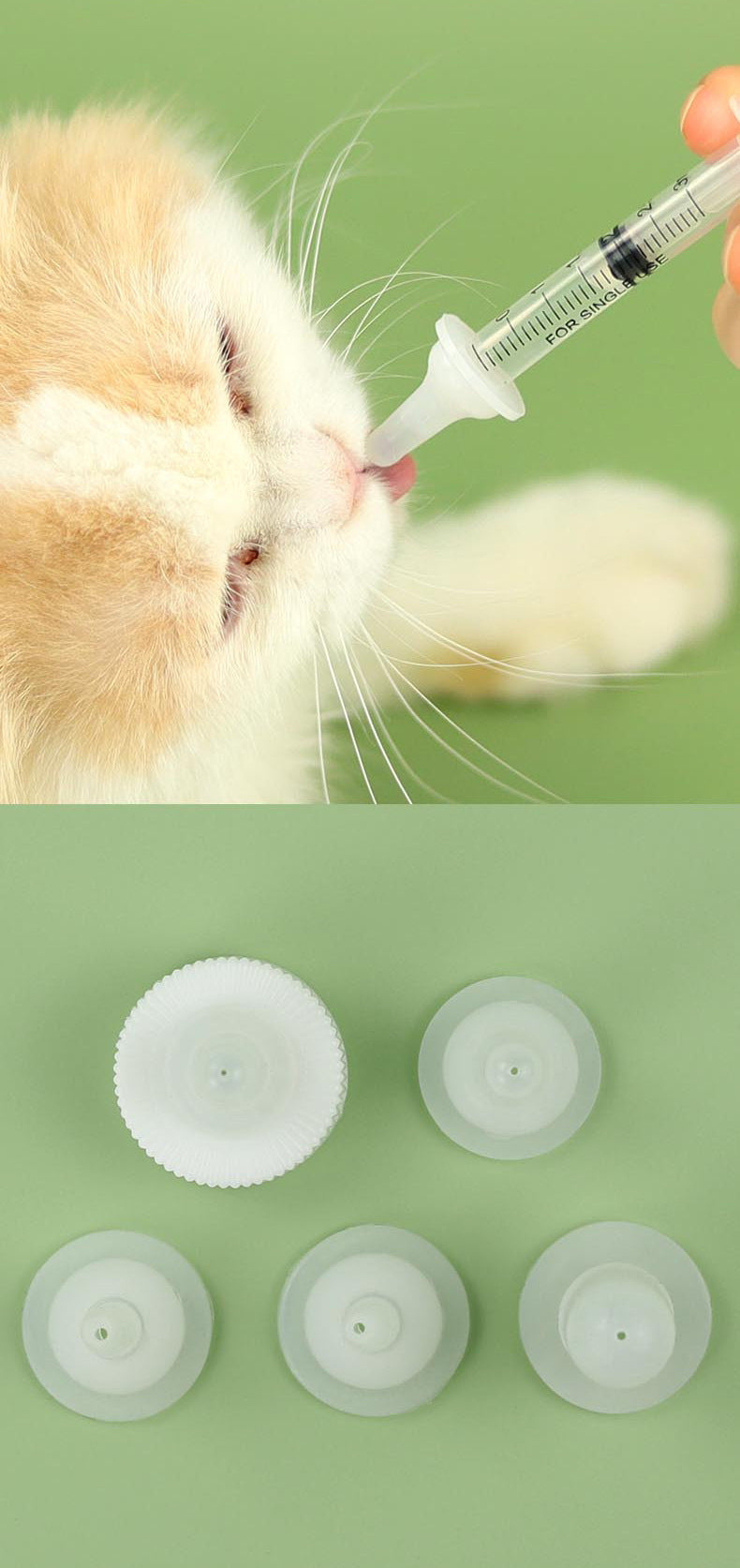 Pet Feeder Set