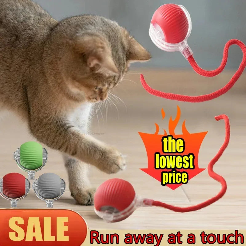 Cat Interactive Electric Ball