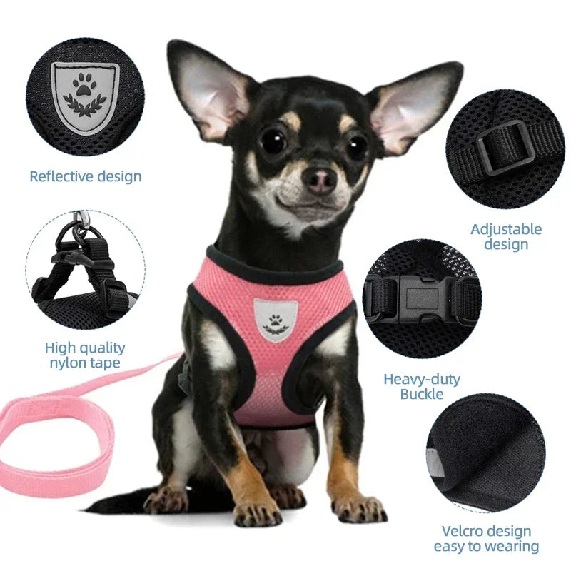 Harness Vest - Walking Lead Leash