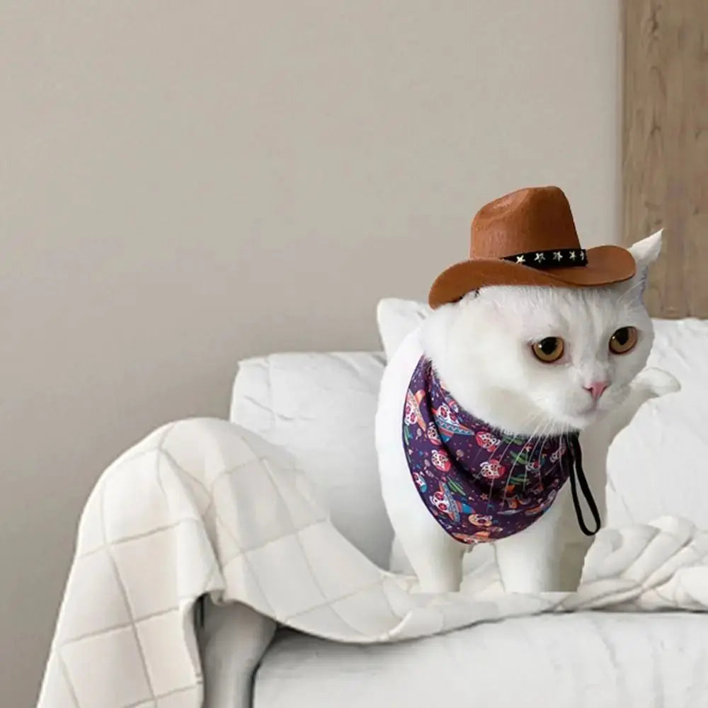 Adjustable Pet Crowboy Hat