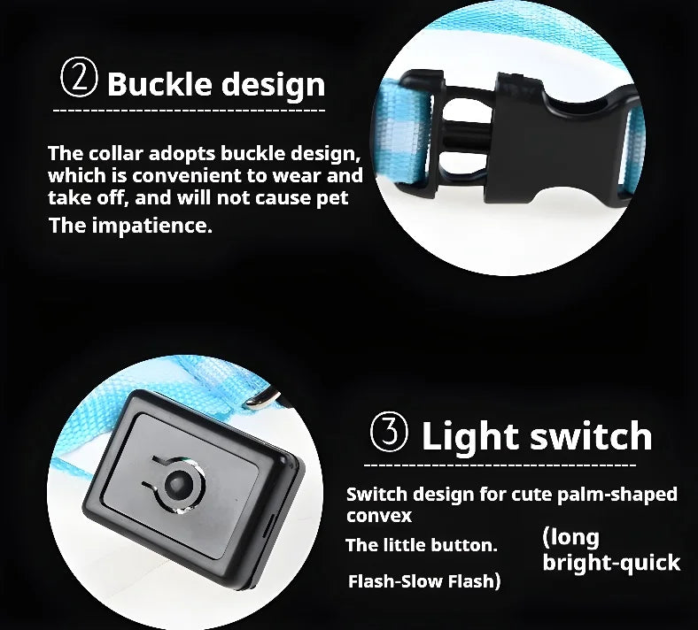 Dog Collar With LED Night