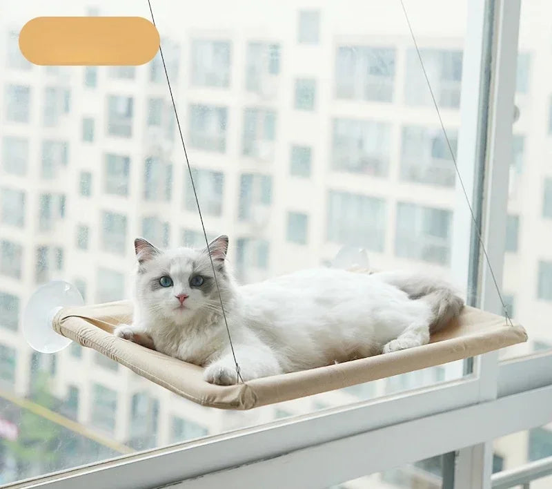Window Hanging Cat Bed