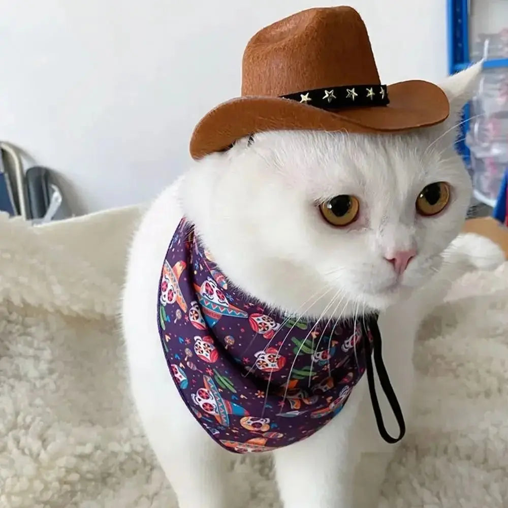Adjustable Pet Crowboy Hat