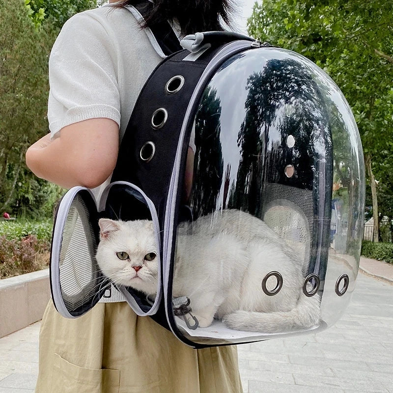 Pet Transparent Backpack