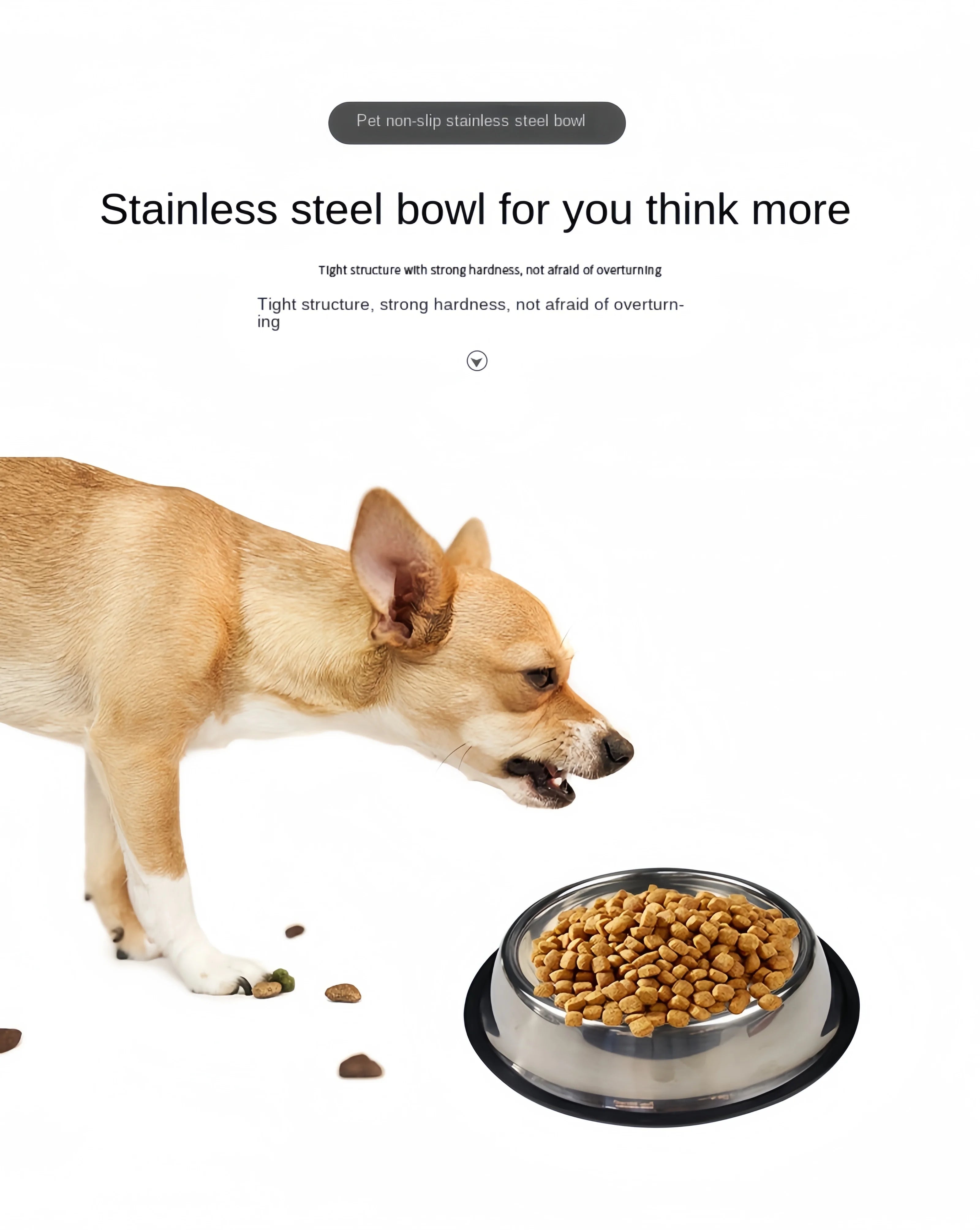 Pet Stainless Steel Feeding Bowl