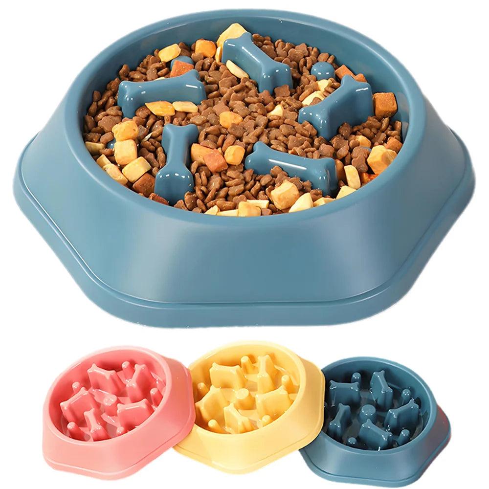 Slow Feeding Dog Bowl