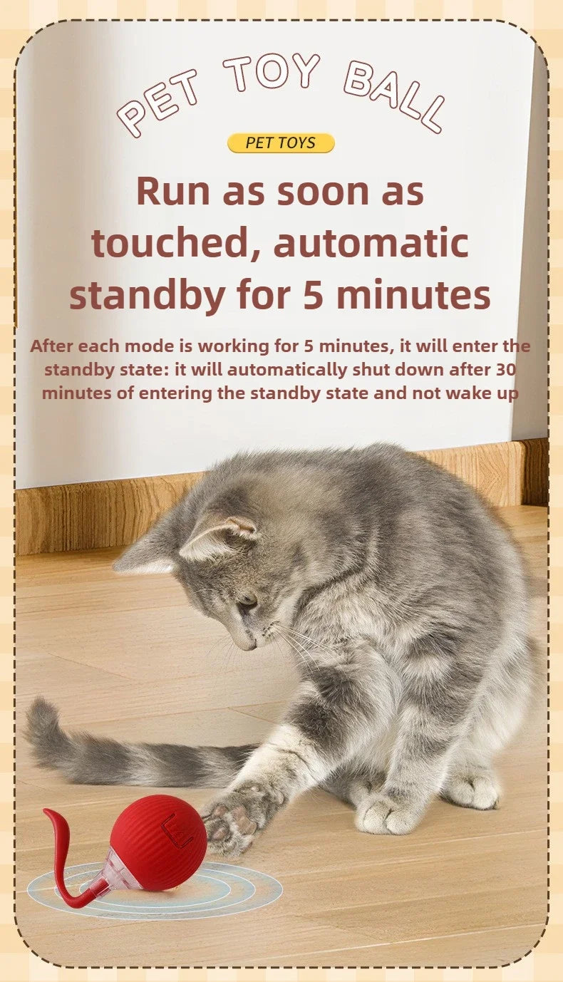 Cat Interactive Electric Ball