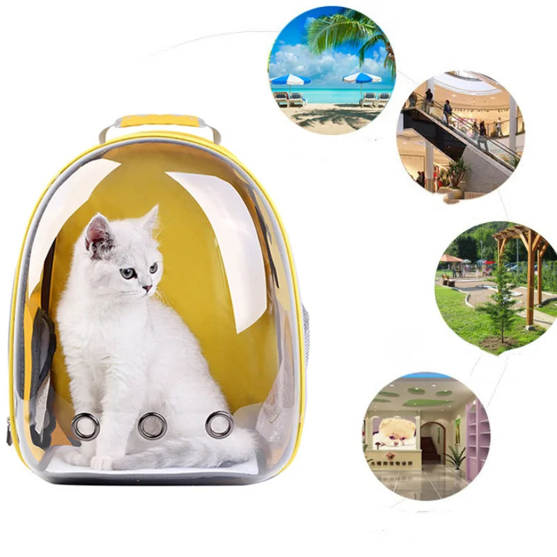 Breathable & Transparent Pet Backpack