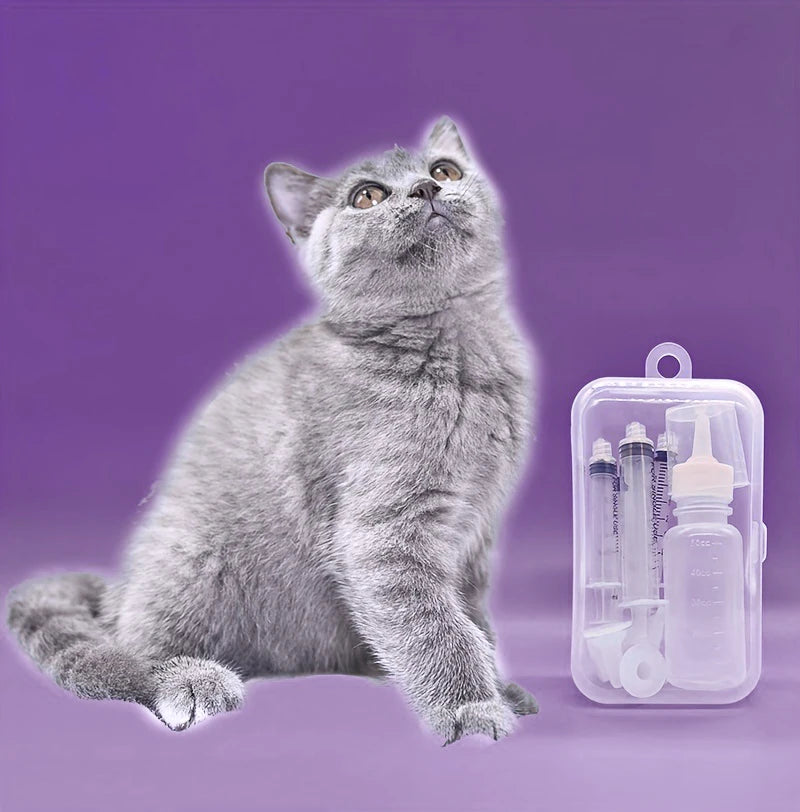 Pet Feeder Set