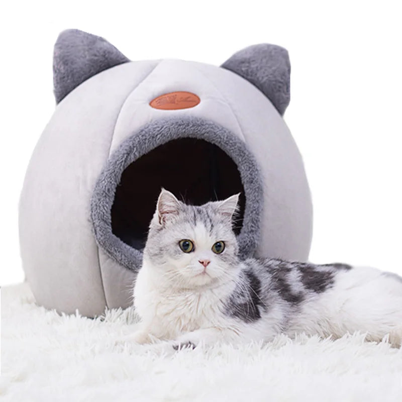 Comfort Pet Bed