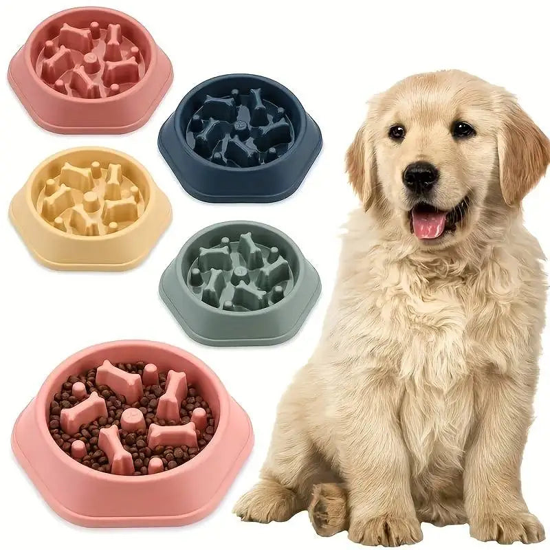 Slow Feeding Dog Bowl
