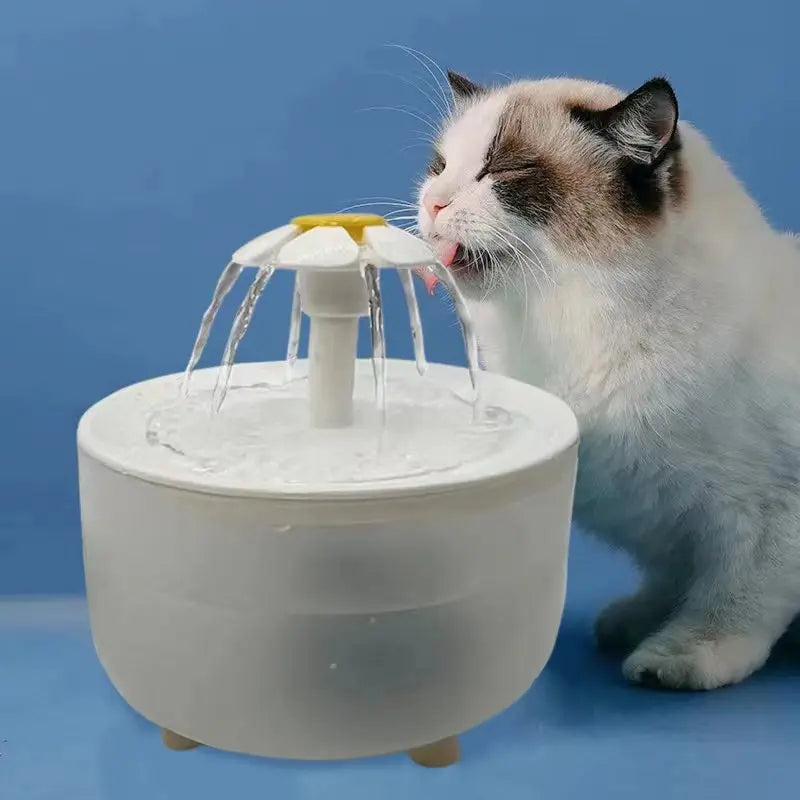 Pet Water Dispenser