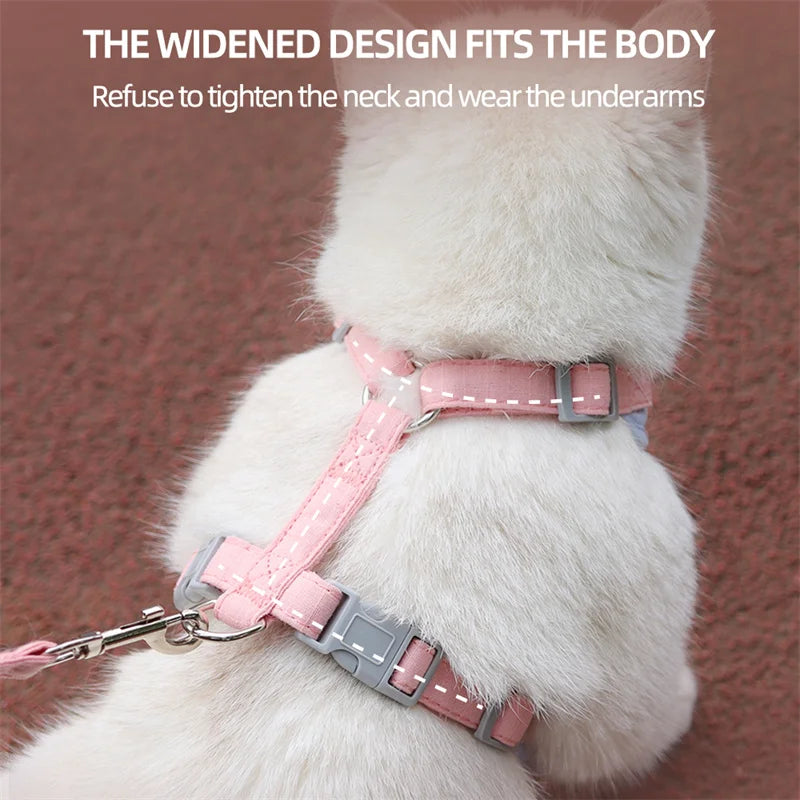 Cat Outdoor Walking Supplies