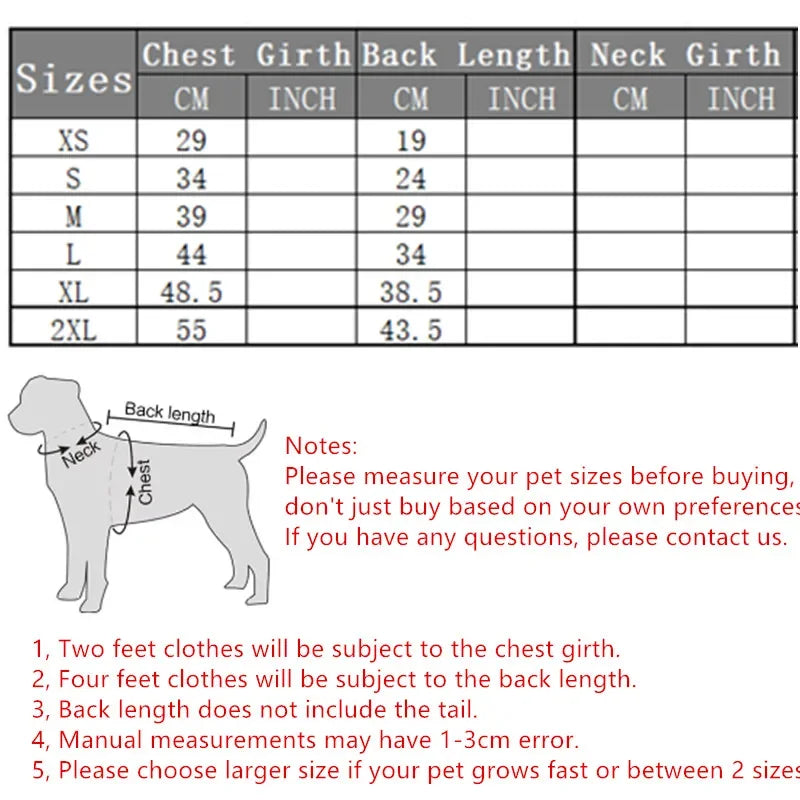 Cute Puppy Sweatshirt - Bear Pattern