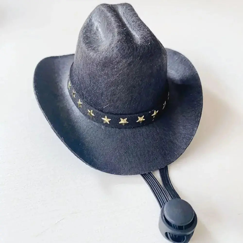 Adjustable Pet Crowboy Hat