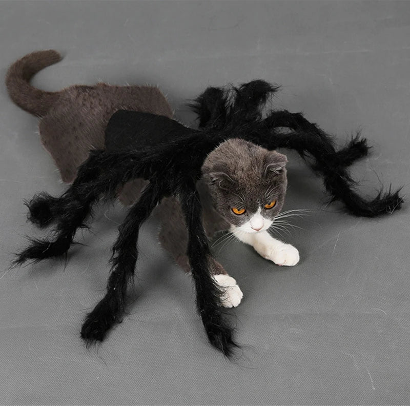 Spider Costume