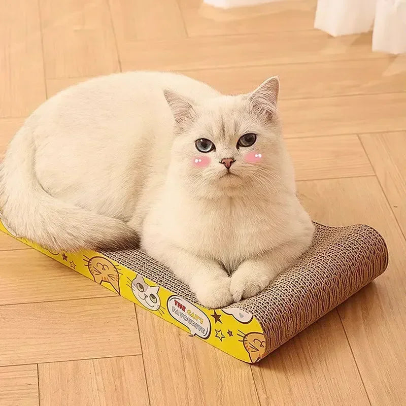 Cat Scratching Cardboard