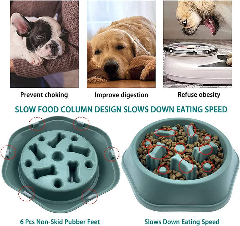 Slow Feeding Dog Bowl
