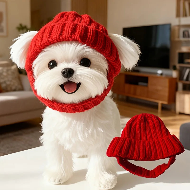 Warm Knit Hat