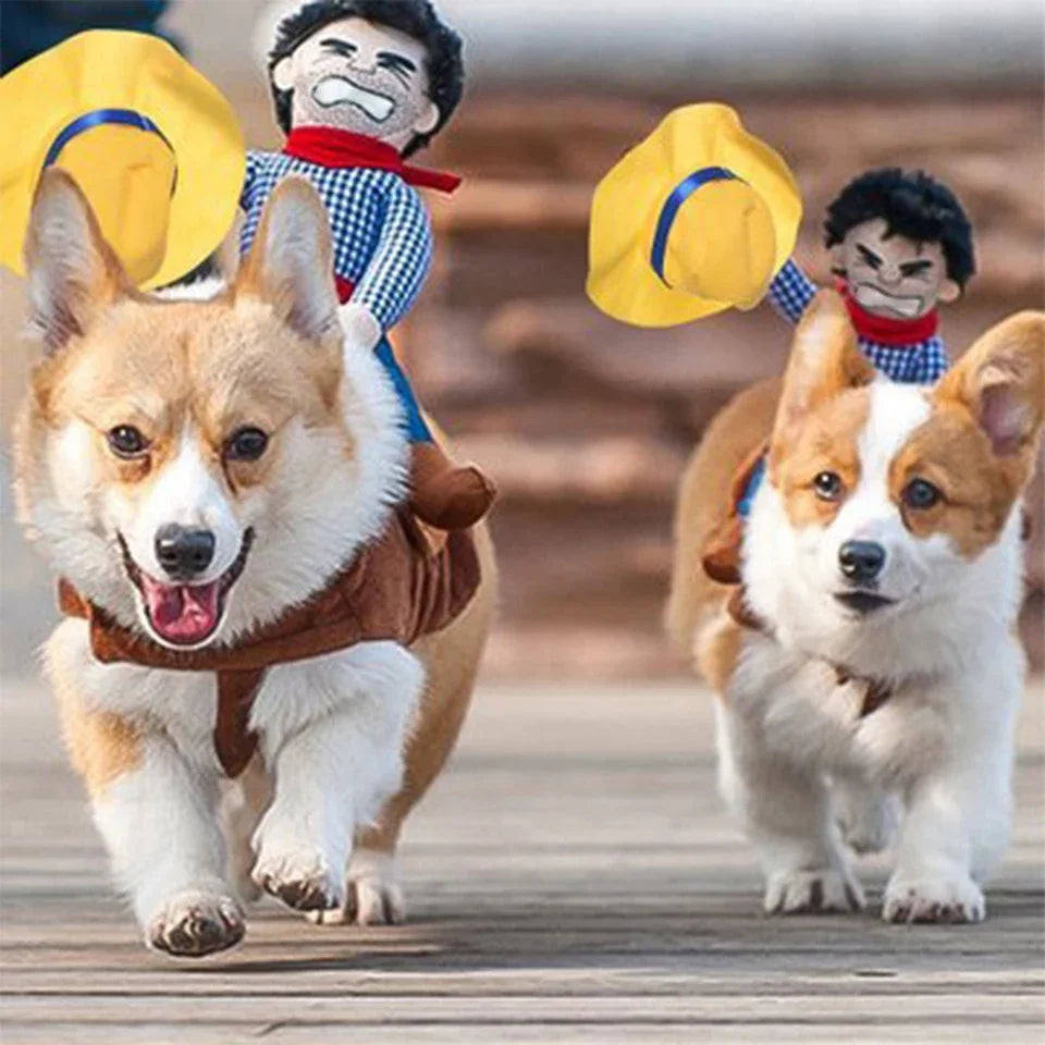 Funny Cowboy Clothes