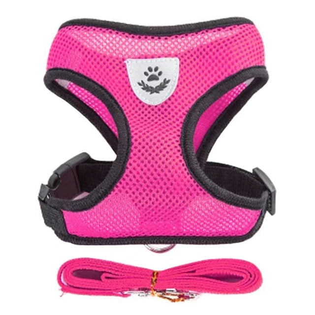 Harness Vest - Walking Lead Leash