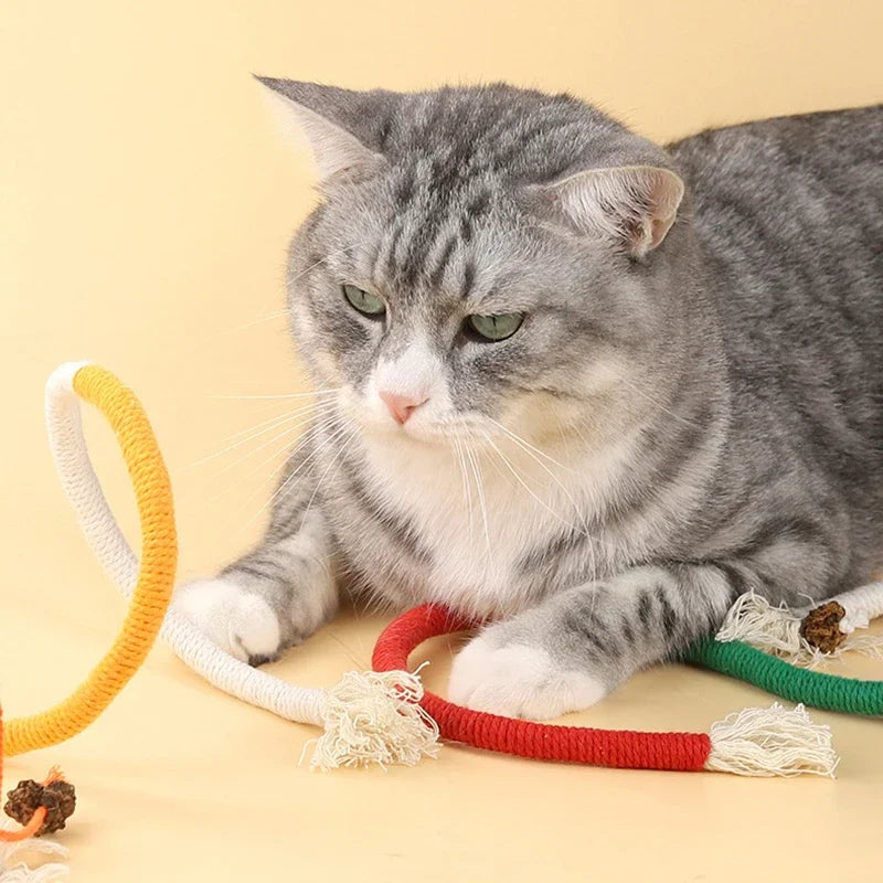Cat Chew Toys - Interactive Molar Cotton Rope
