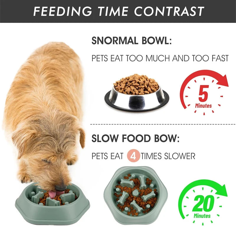 Slow Feeding Dog Bowl