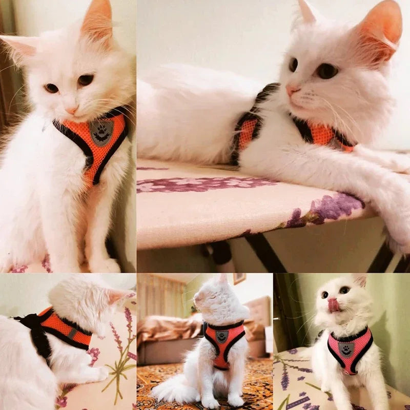 Harness Vest - Walking Lead Leash