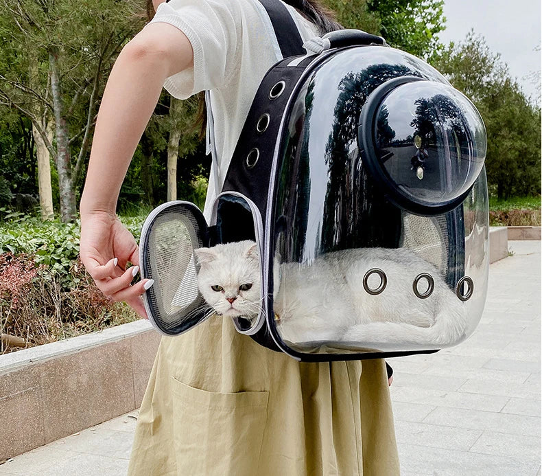 Pet Transparent Backpack