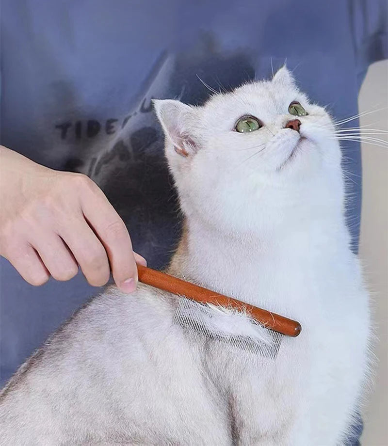 Stainless Steel Pet Hair Remover