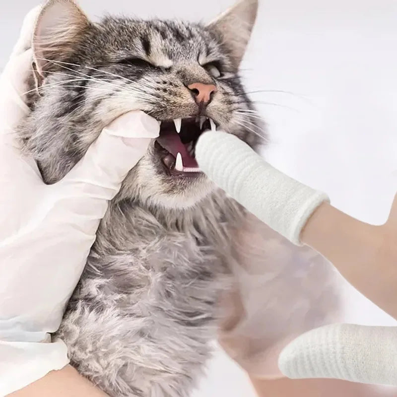 Pet Two-finger Brushing Finger
