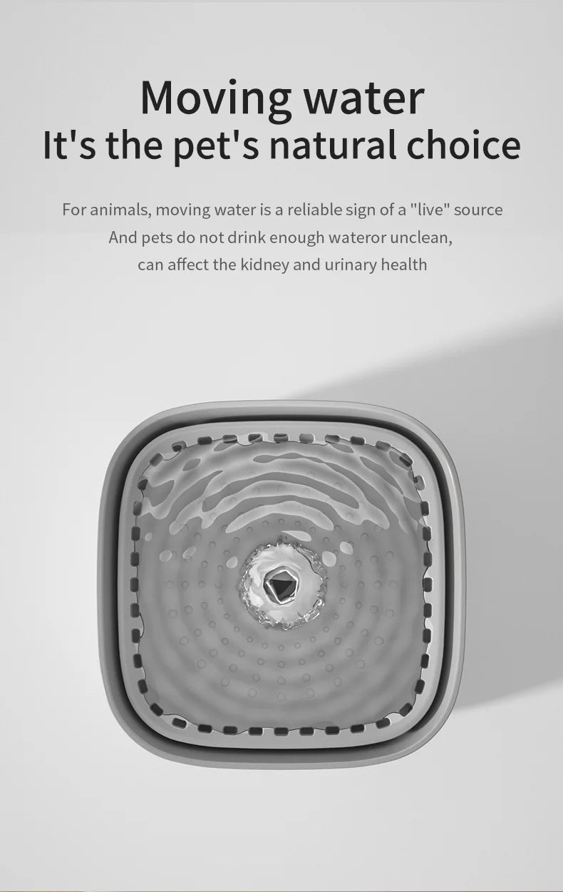 3L Cat Water Fountain & Filter