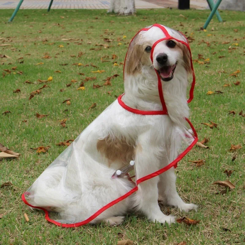 Puppy Transparent Hooded Waterproof Rainwear