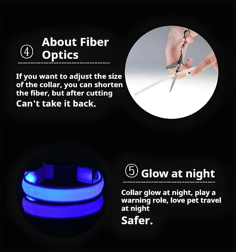 Dog Collar With LED Night
