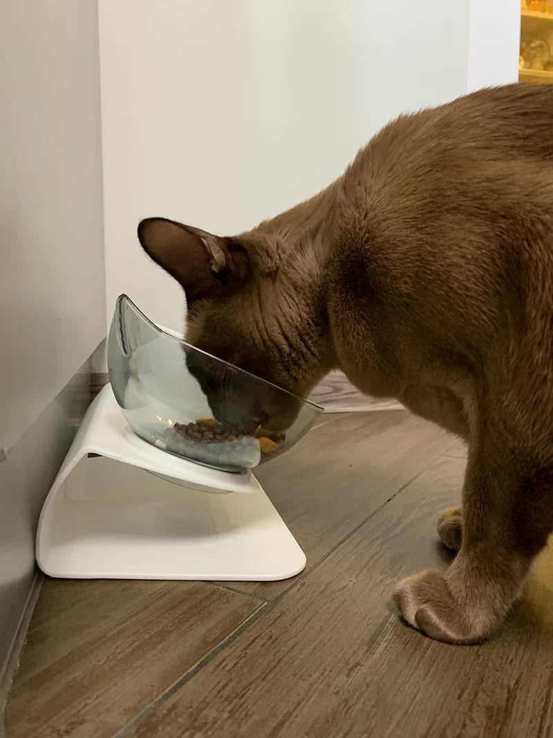Non-Slip Cat Bowl