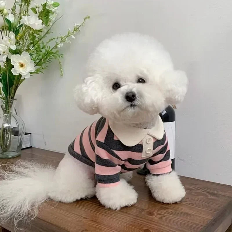 Striped Polo Shirt