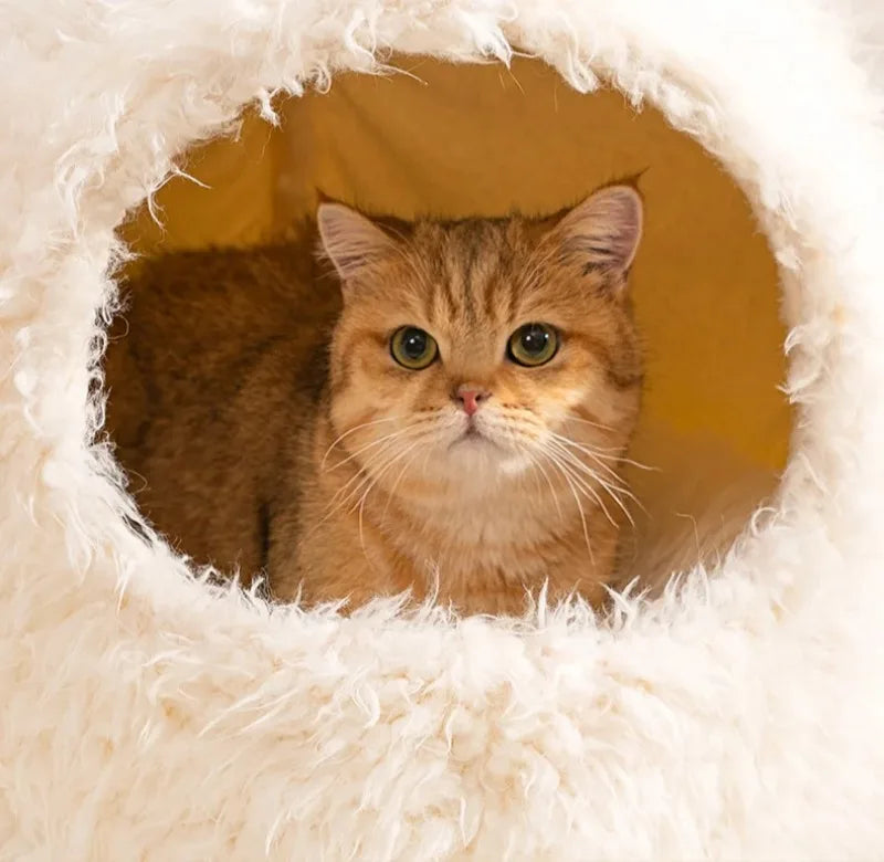 Comfortable Cats Bed