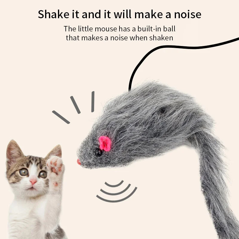 Door Hanging Cat Teaser Toy