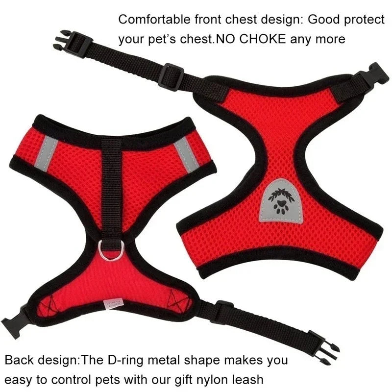 Harness Vest - Walking Lead Leash