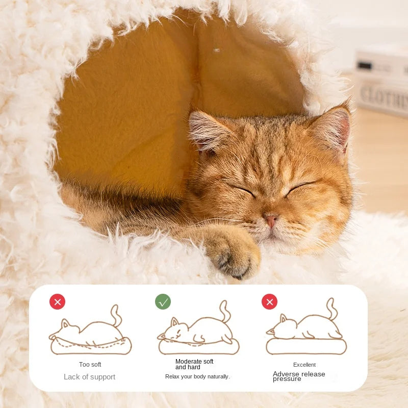 Comfortable Cats Bed