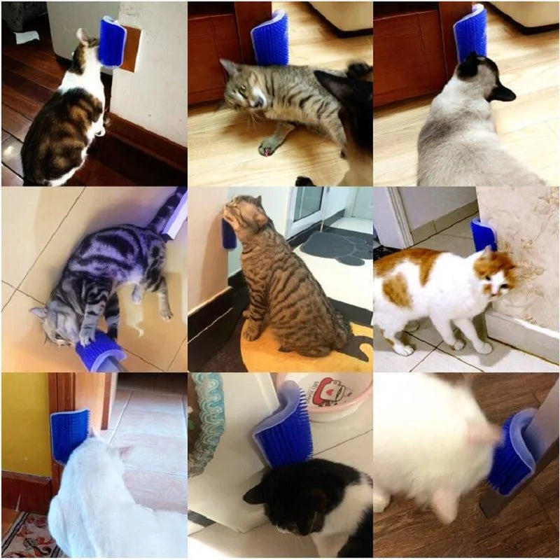 Cat Massager - Grooming Brush