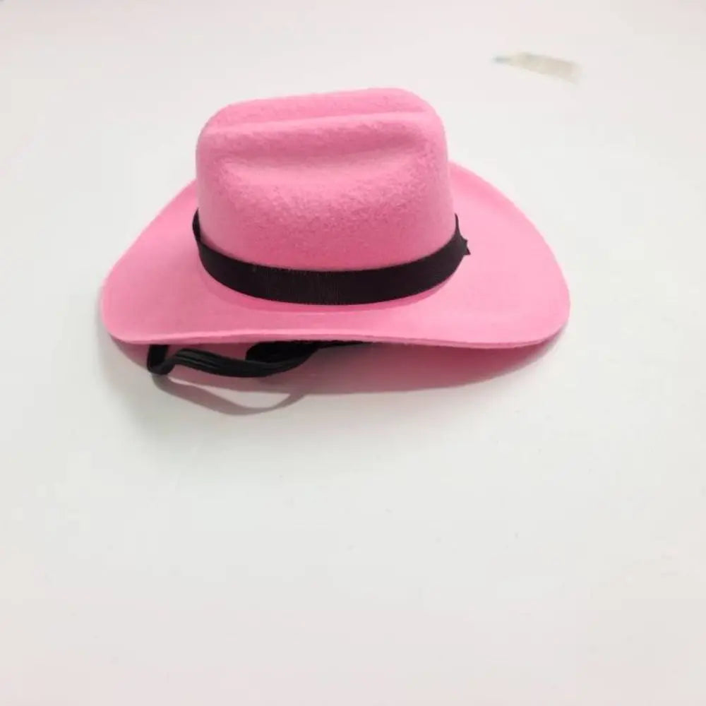 Adjustable Pet Crowboy Hat