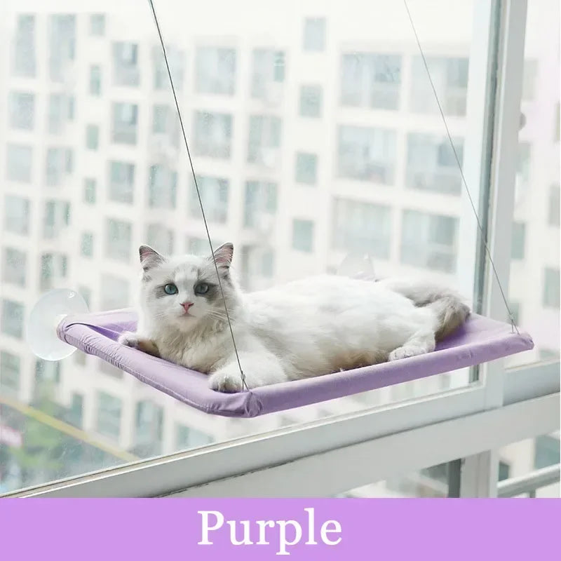 Window Hanging Cat Bed